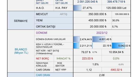 Koç Metalurji halka arz oluyor